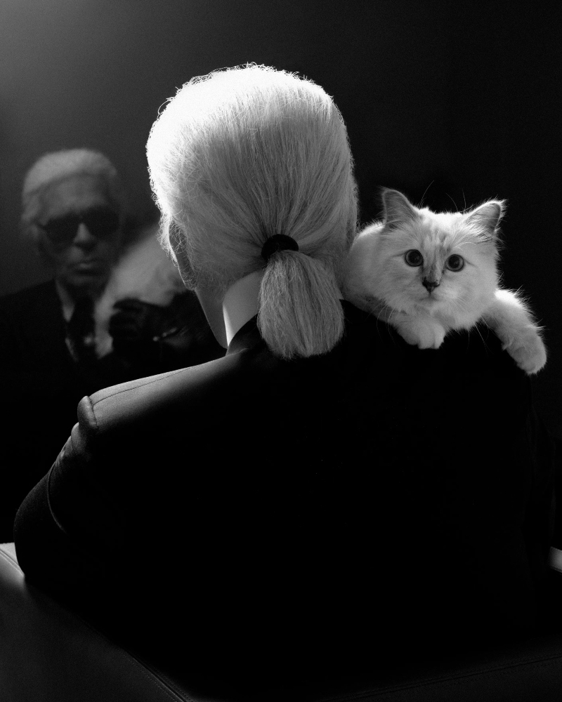 More than a pet, Choupette was Lagerfeld’s confidante, muse, and even his co-star / Photo via Karl Lagerfeld