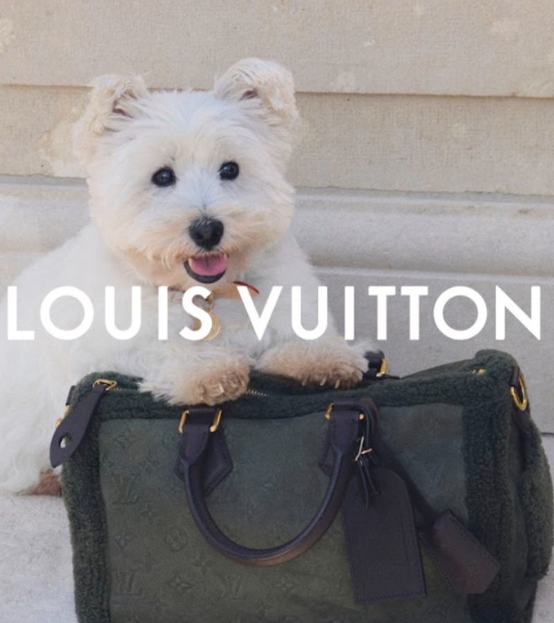 The editorial is set in the English countryside, reflecting British tailoring traditions fused with Louis Vuitton’s Parisian flair. / Photo via LV