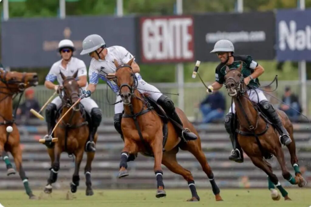 From November 1, with the final scheduled on December 6. / Photo via Polo School Argentina