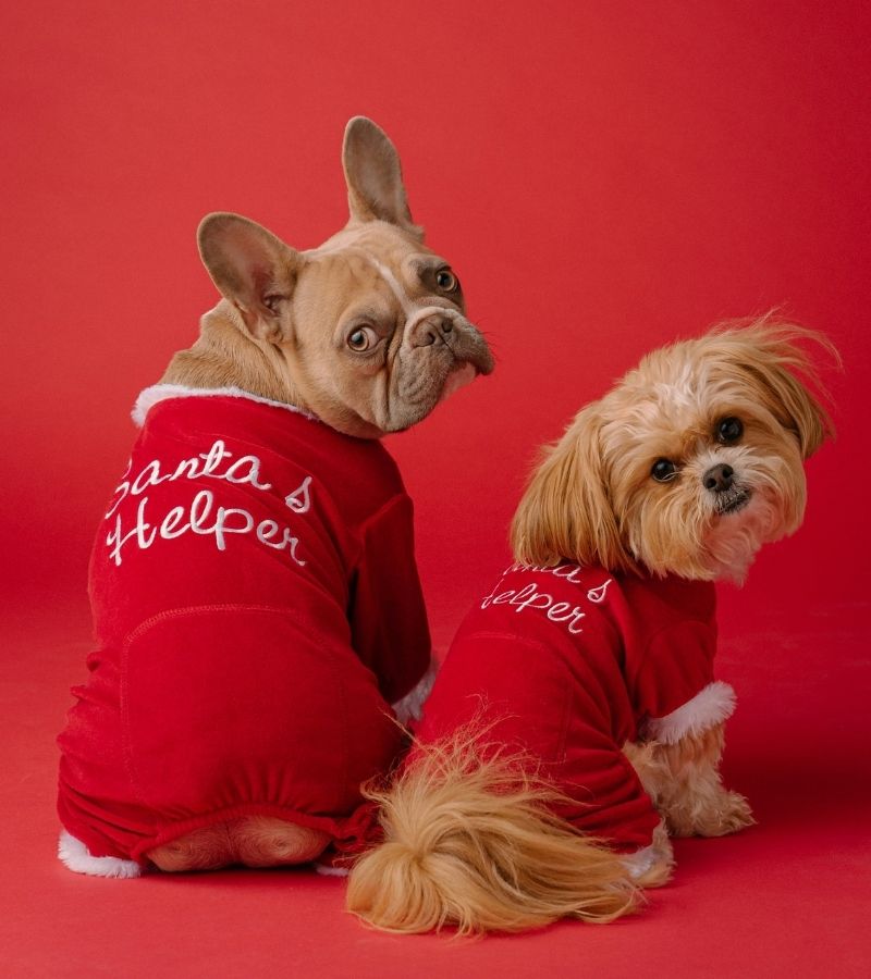Christmas pajamas