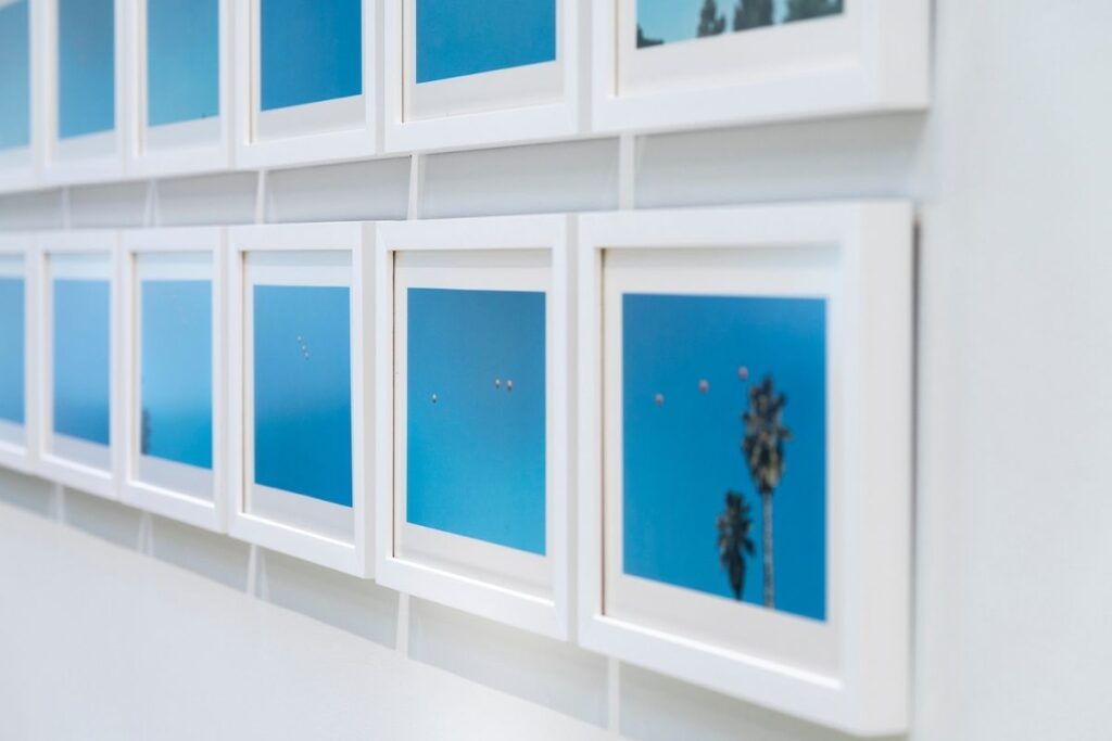 Craig Robins Collection