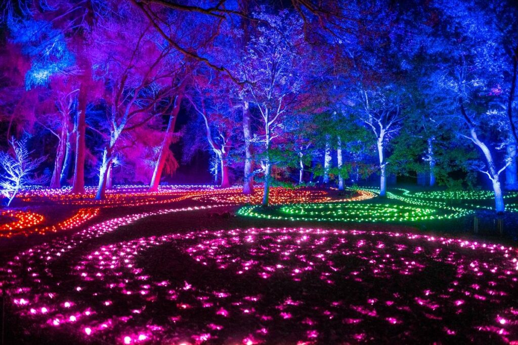 The illuminated garden returns with captivating brilliance. More than one million lights transform pathways into ethereal environments / Photo Lightscape