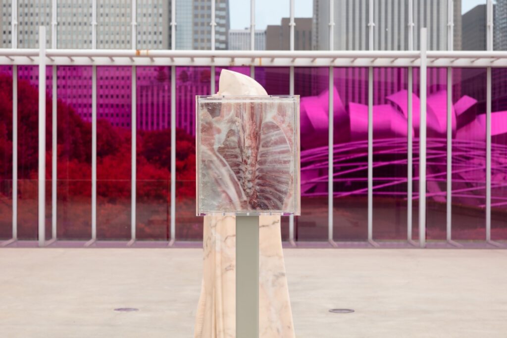 Shahryar Nashat’s Raw Is the Red merges movement and tension. Jacqueline Humphries introduces a bold abstract language in December. / Photo Aspen Art Museum