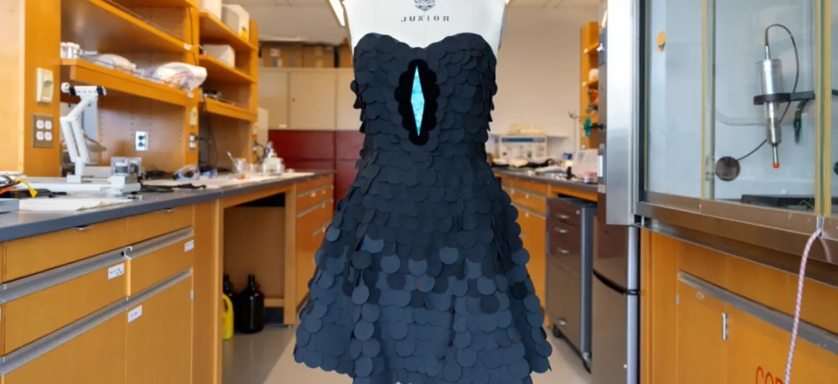 Researchers turned to nature for answers. The magnificent riflebird, a species from New Guinea, displays feathers so dark they defy perception. / Photo Cornell