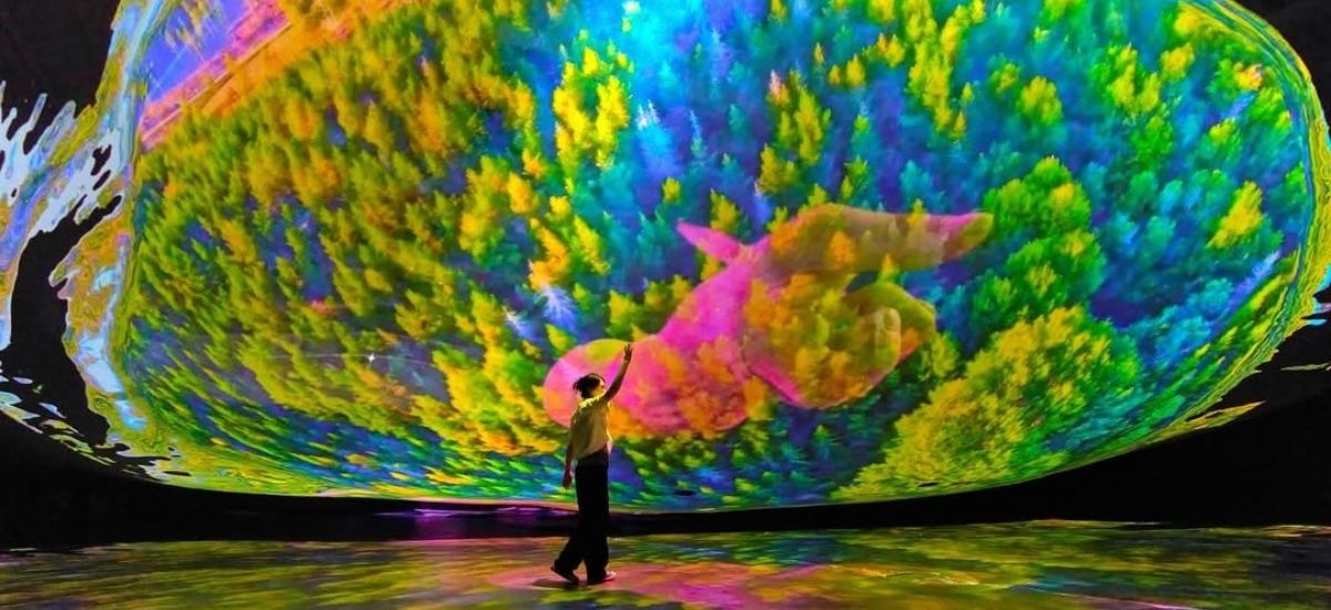 Museum exhibitions 2026