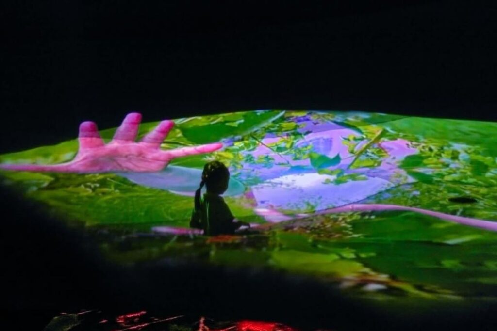 Museum exhibitions 2026