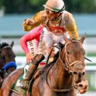 PEGASUS WORLD CUP 3026