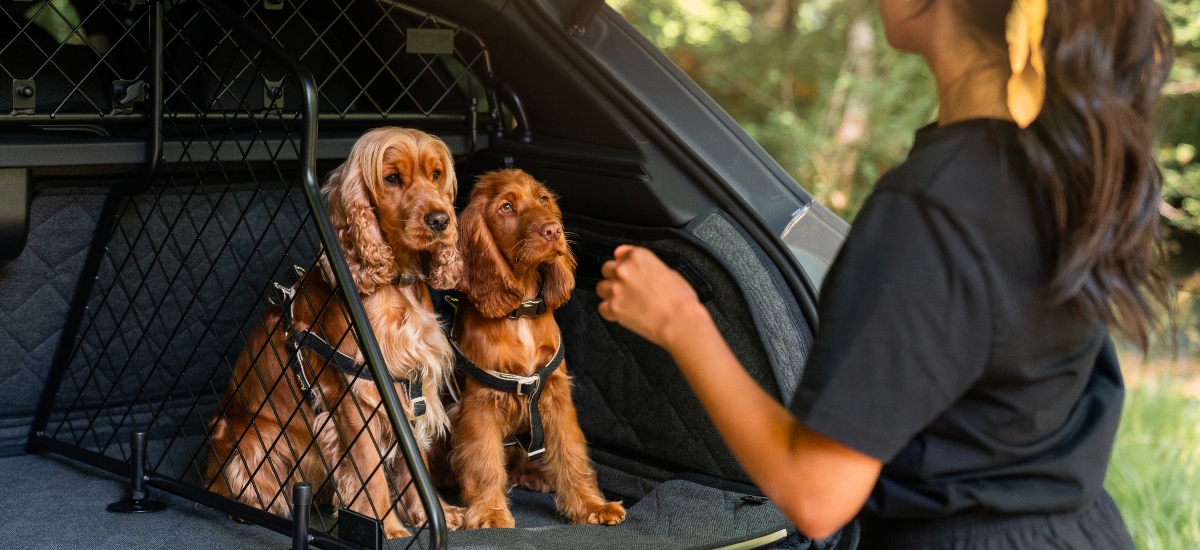 This handcrafted collection of Pet Accessories elevates travel for dogs while preserving the elegance expected from the brand. / Photo Bentley