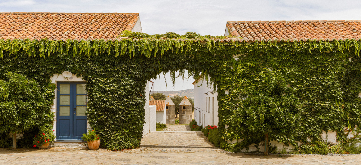 São Lourenço do Barrocal