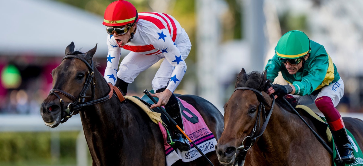 Scheduled for Saturday, January 24, the Pegasus World Cup is hosted by 1/ST and presented by Baccarat. / Photo Pegasus World Cup