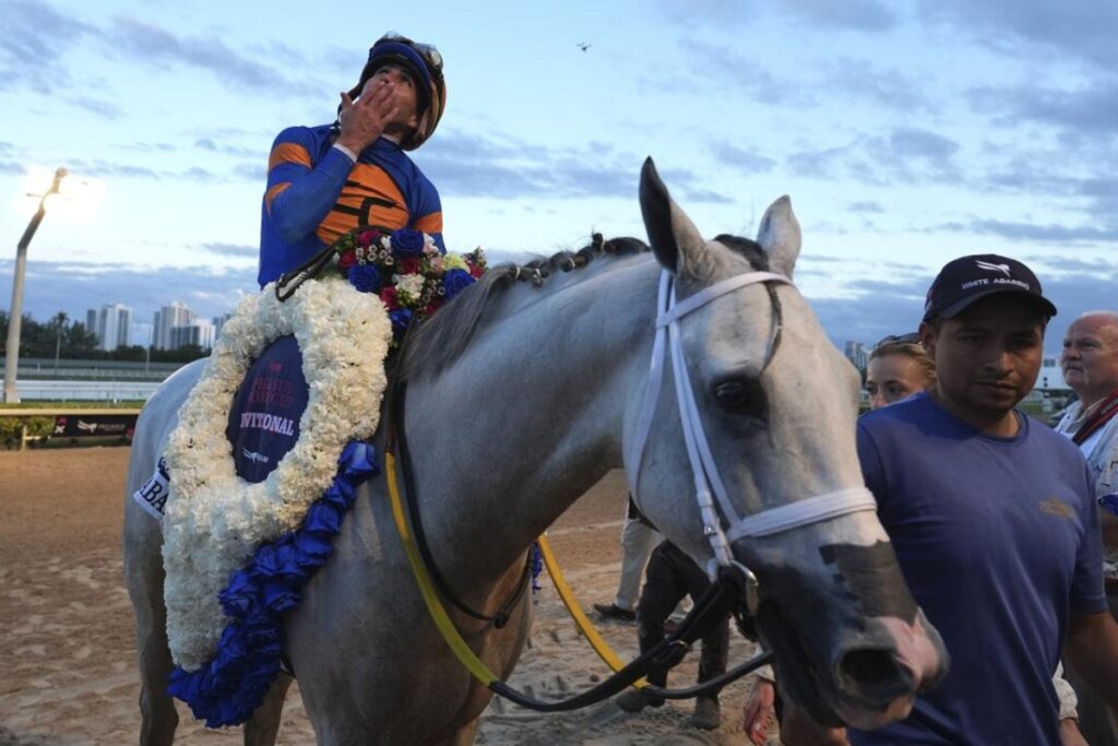 Owners, industry leaders, celebrities, and international fans gather for an unmatched atmosphere. The event balances sporting excellence with the unmistakable glamour of Miami. / Photo Pegasus World Cup Invitational