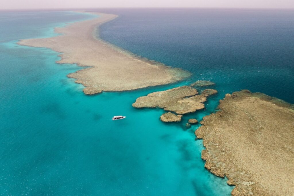 Guests participate in mangrove and Sea Lavender restoration projects. These activities foster a lasting relationship with the coastline. / Photo Nujuma