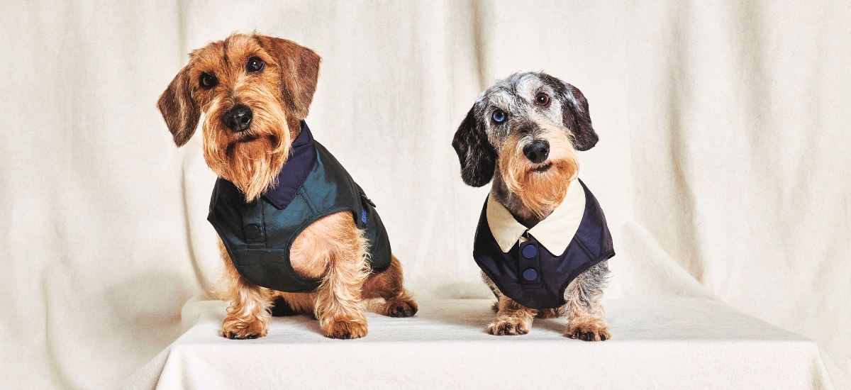 Giorgio Armani, a house synonymous with refined understatement, is expanding its universe beyond human fashion. This time, the focus is on pets / Photo Armani