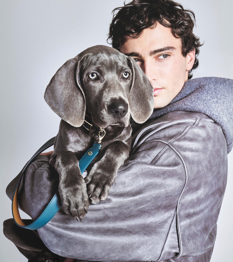 They seek products that communicate discernment rather than excess. This mindset now extends to the pet industry. / Photo Armani