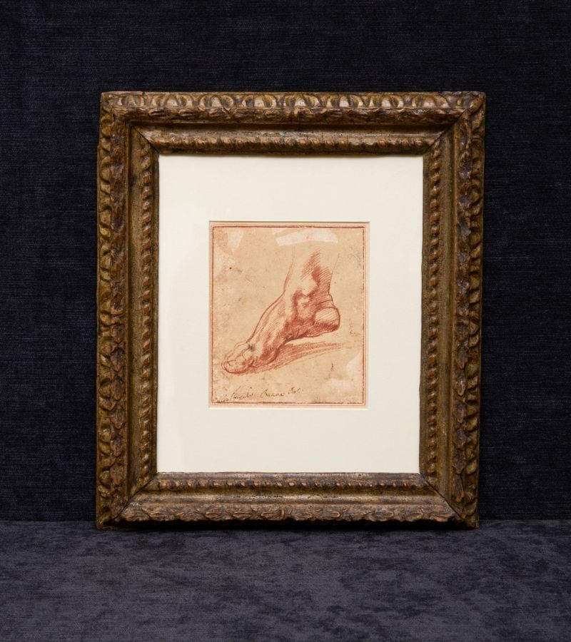 Michelangelo disegno