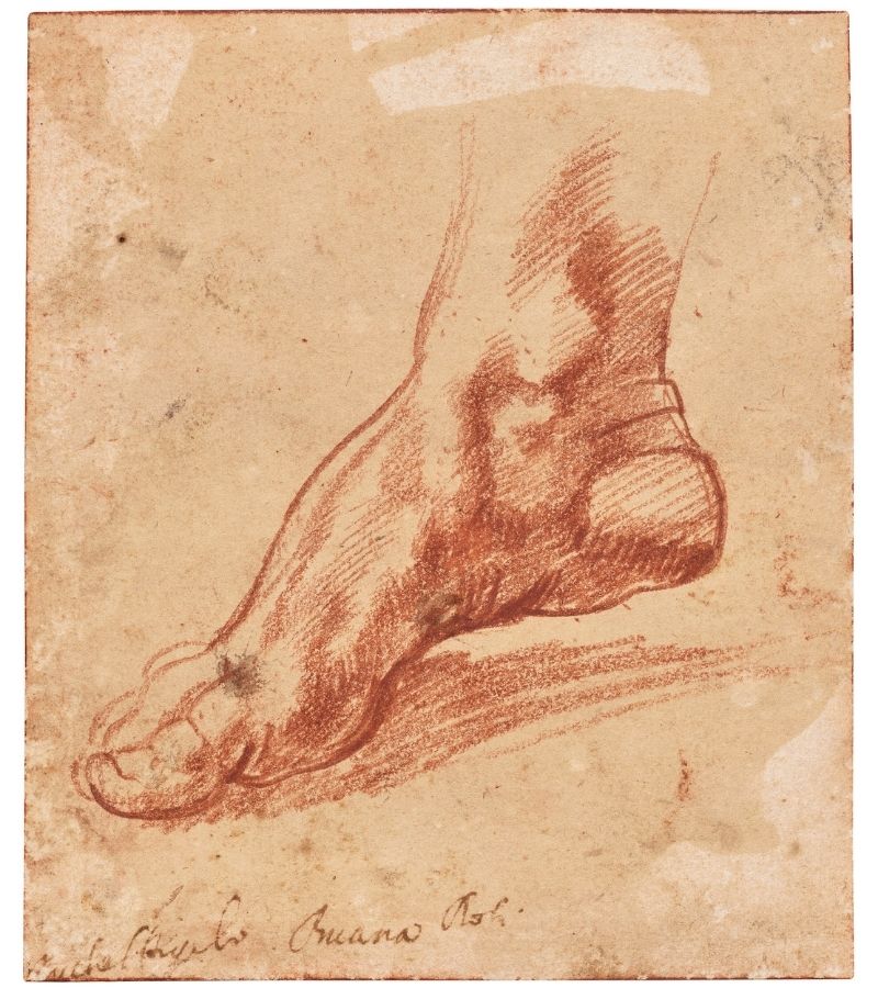 Michelangelo disegno
